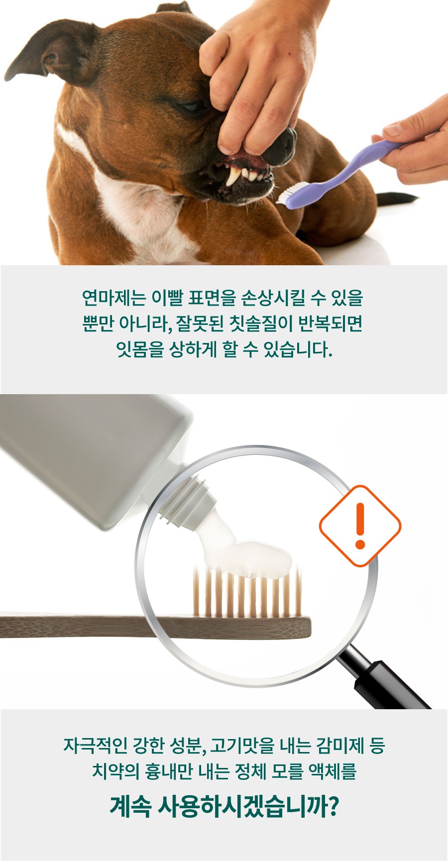 플라고 치약 플러스 (80g)-상품이미지-8
