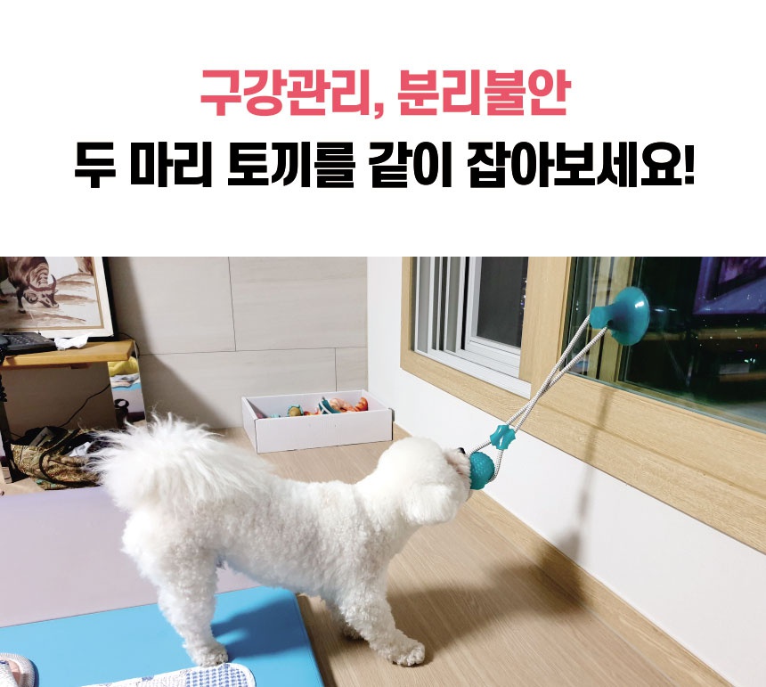 리스펫 강아지 셀프 터그놀이 장난감 그린-상품이미지-4