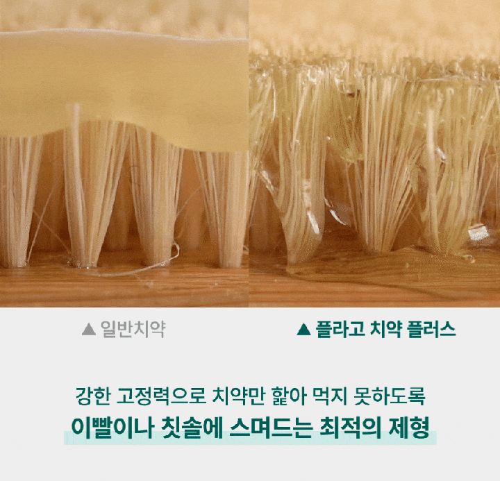 플라고 치약 플러스 (80g)-상품이미지-11