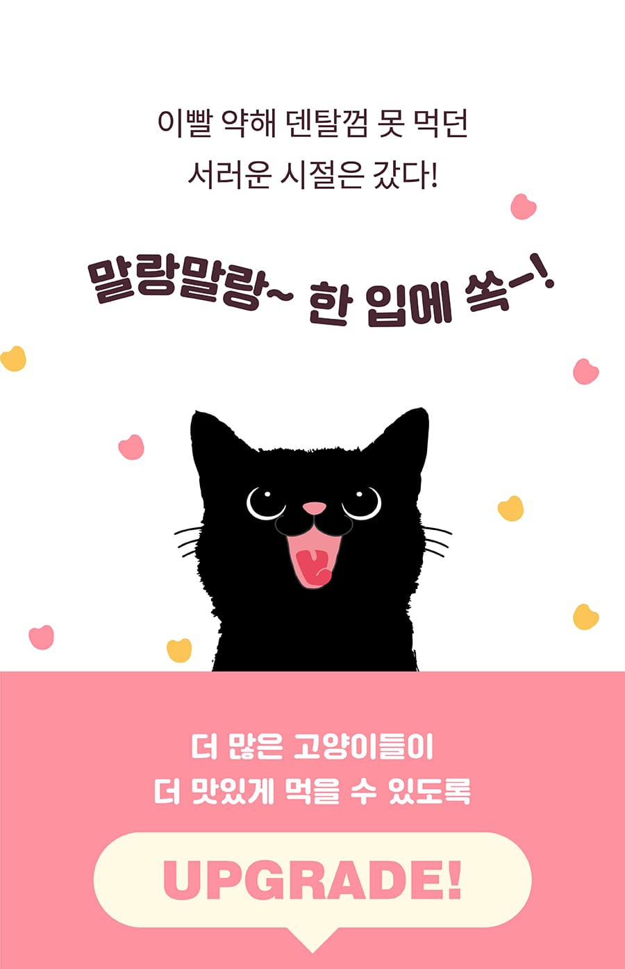 it 더 잇츄 캣 미니 (흰살생선&크랜베리/참치&파인애플)-상품이미지-0