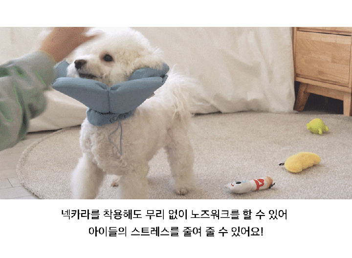 닥터설 각도조절 넥카라 (옐로우/블루/네이비)-상품이미지-10