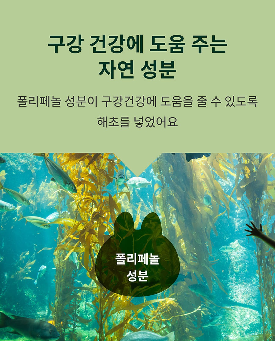 it 더 잇츄 캣 (치킨&사과/황태&고구마/연어&레드비트)-상품이미지-12