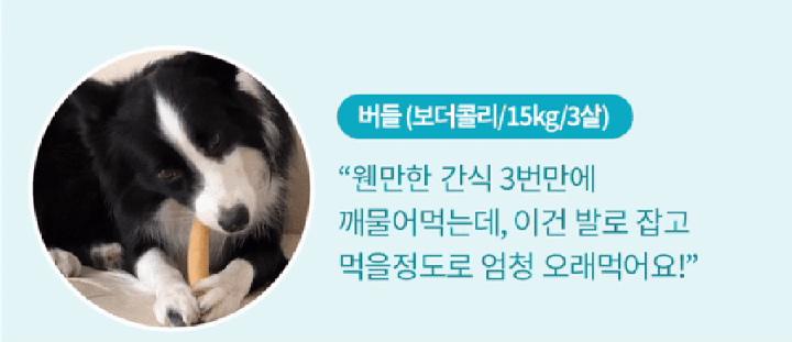 it 츄잇 중대형견용 (플레인/산양유)-상품이미지-6