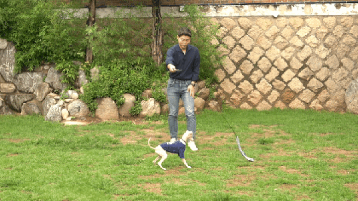 닥터설 터그 낚시대 (실타래/터그링)-상품이미지-9